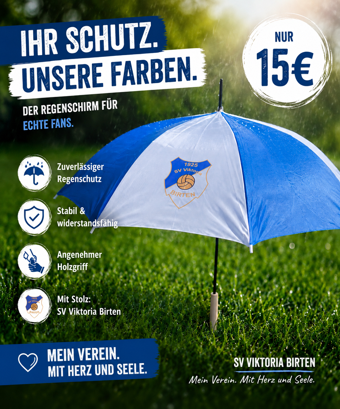Schirm